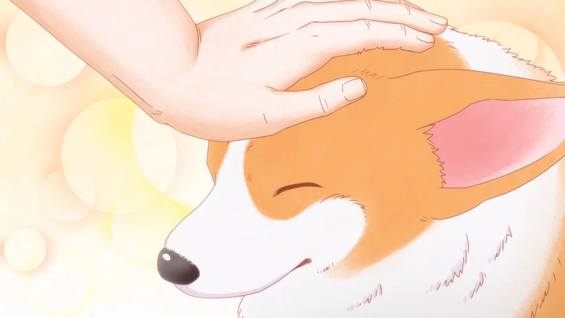 Tono To Inu