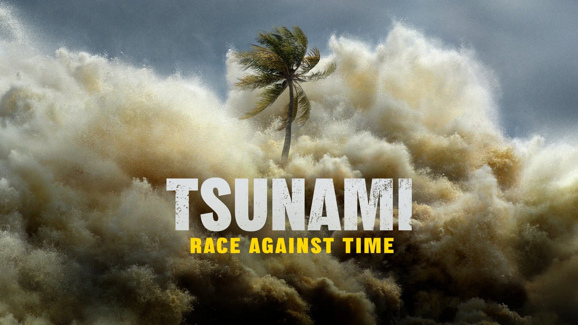 Tsunami: Carrera contra el tiempo