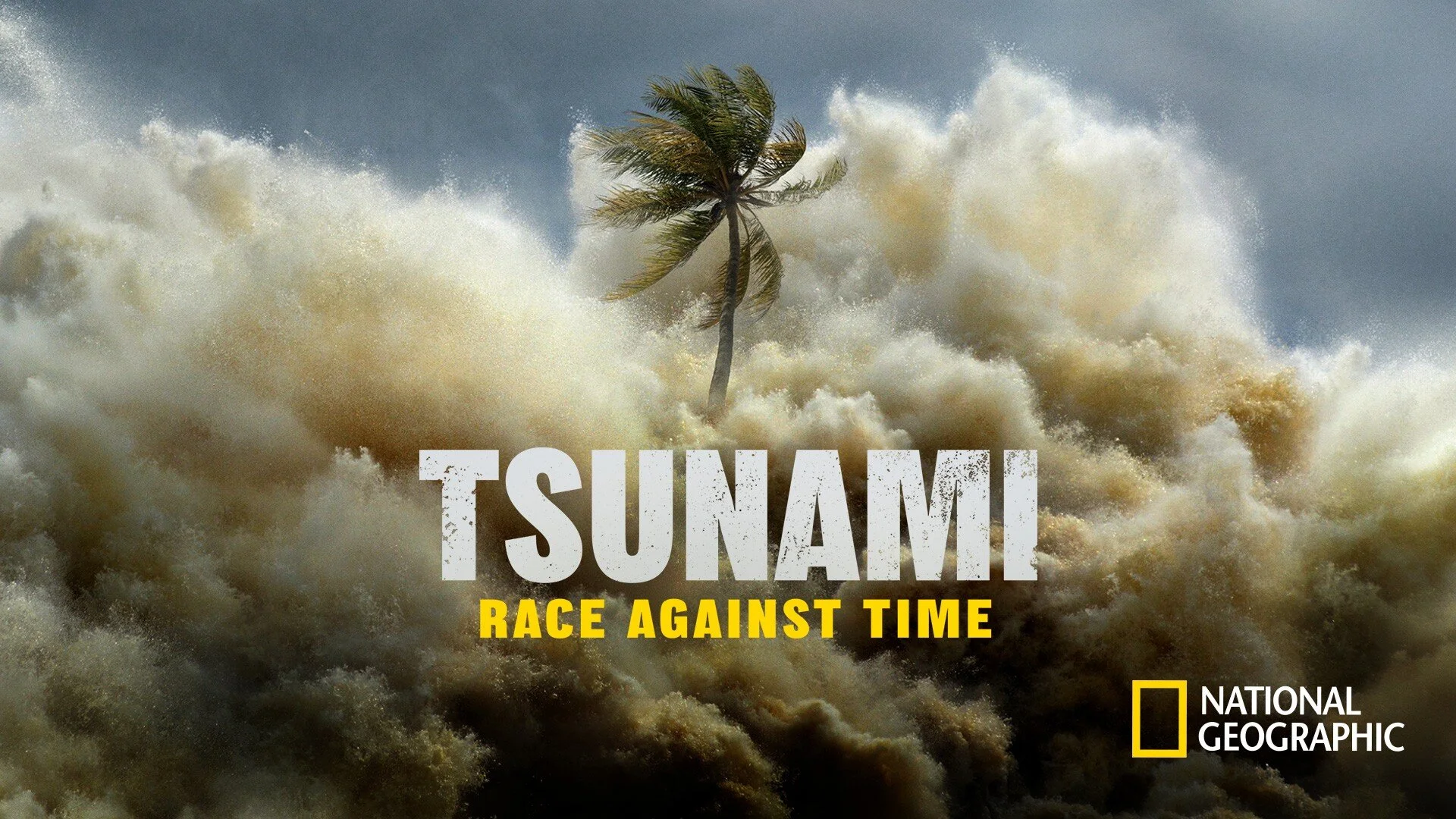 Tsunami: Race Against Time