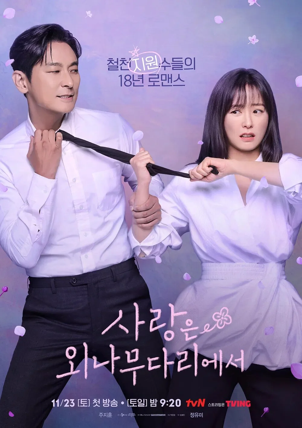 Affiche de Love Your Enemy