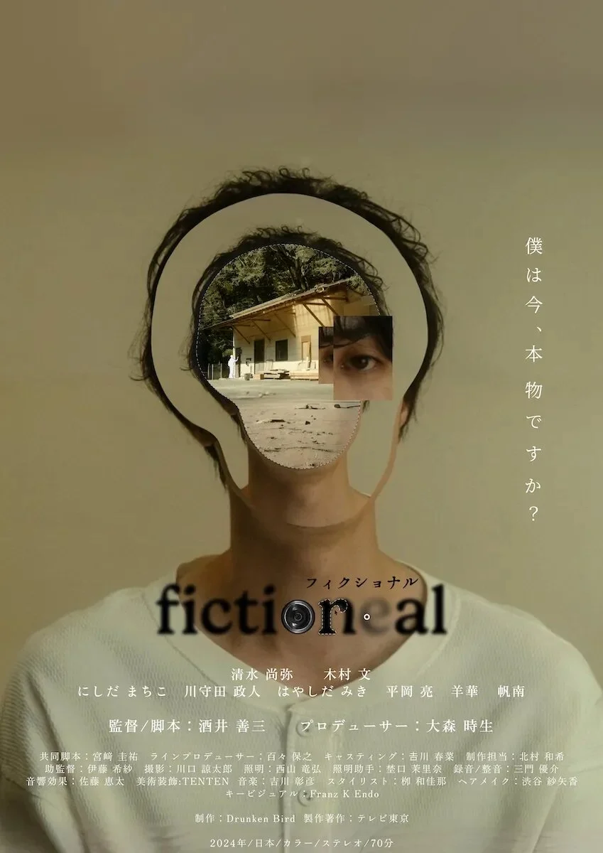 Affiche de Fictional