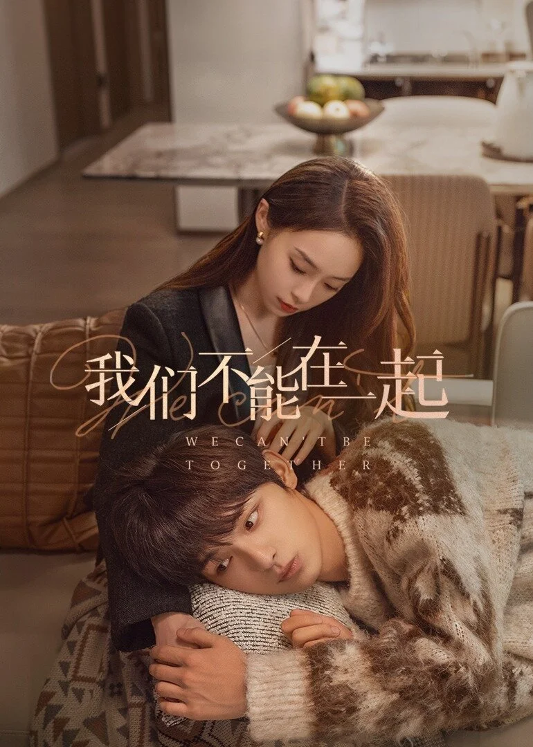 Plakat The Love We Couldn't Keep