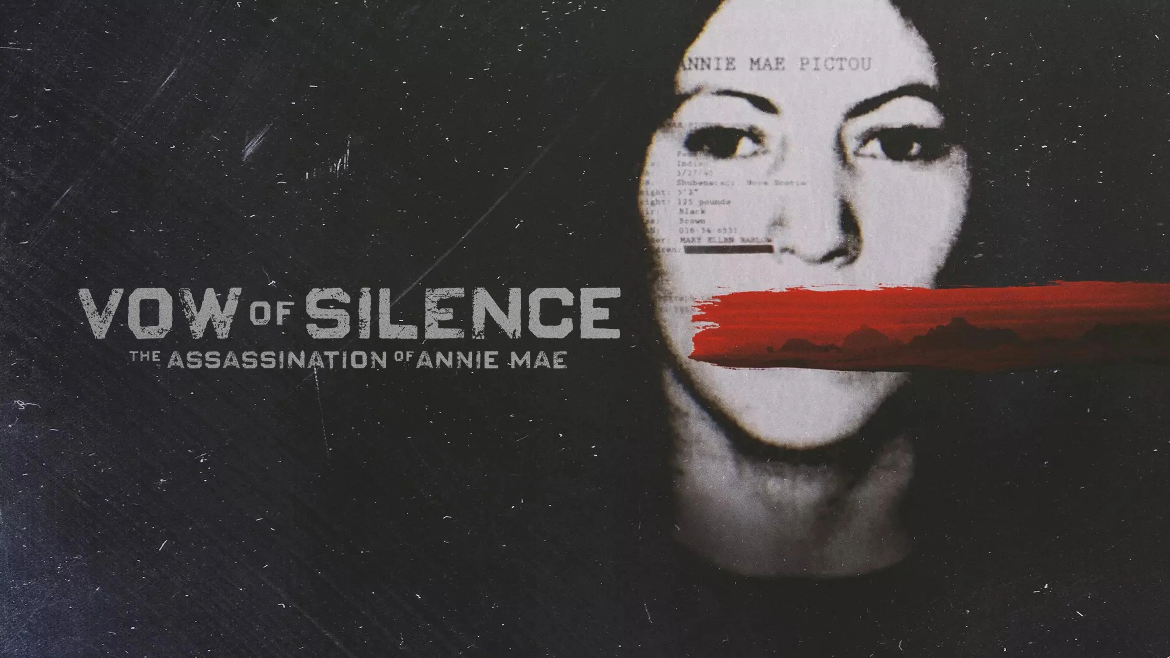 Vow of Silence: The Assassination of Annie Mae