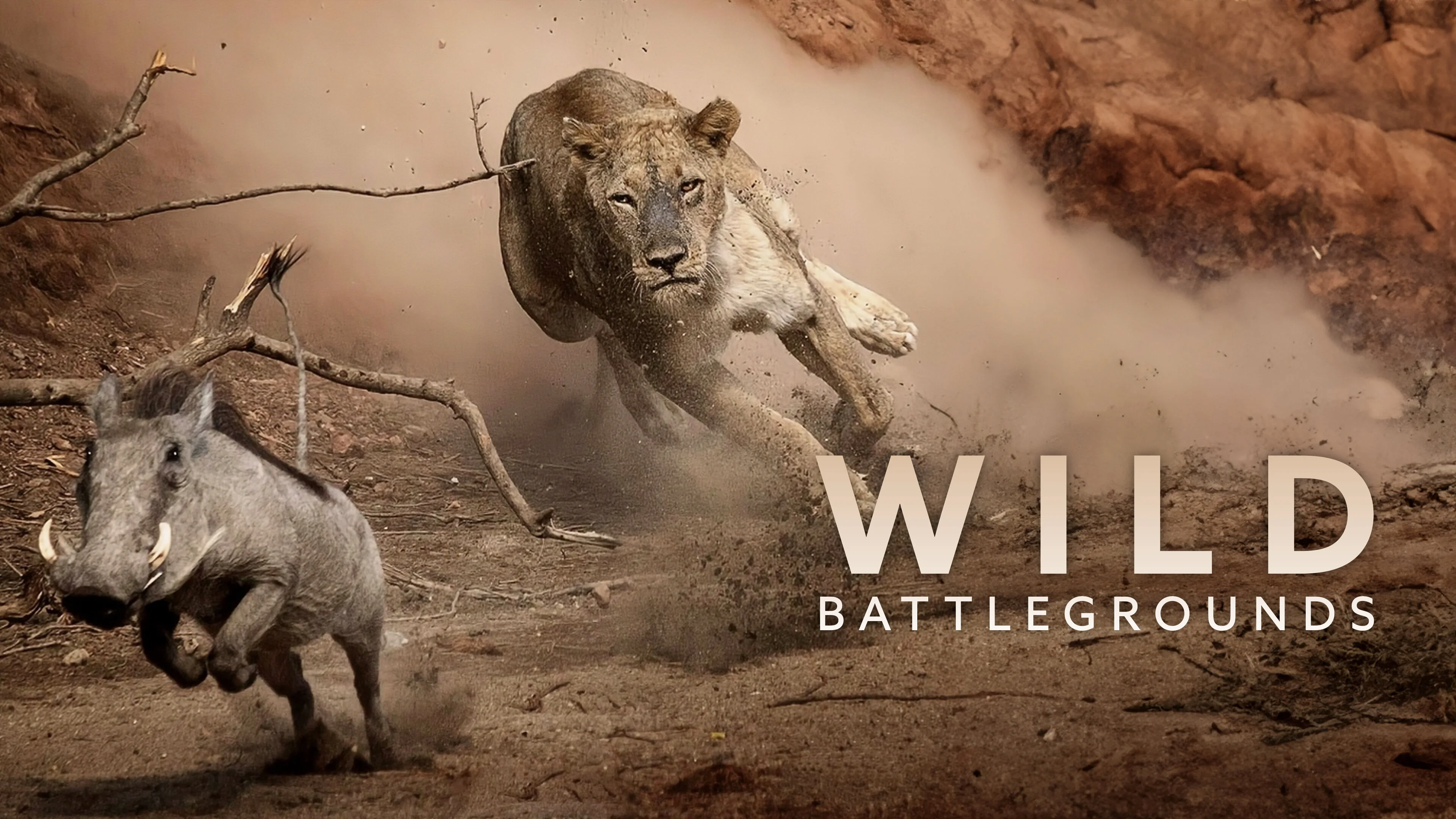 Wild Battlegrounds