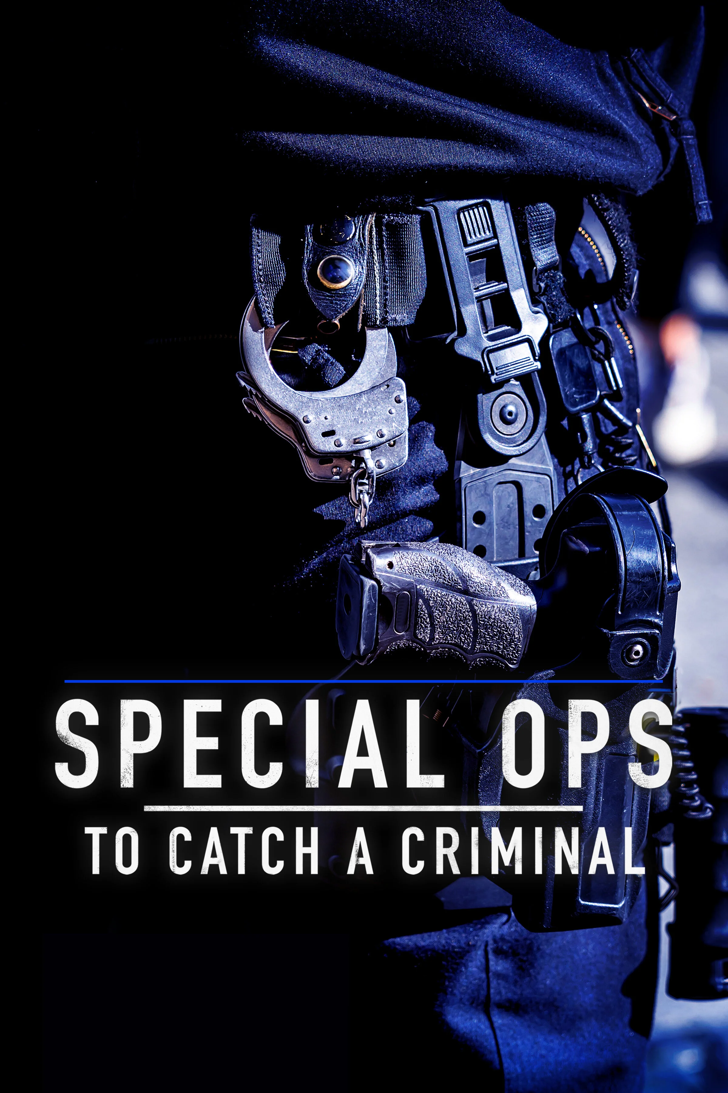 Poster di Special Ops: To Catch a Criminal