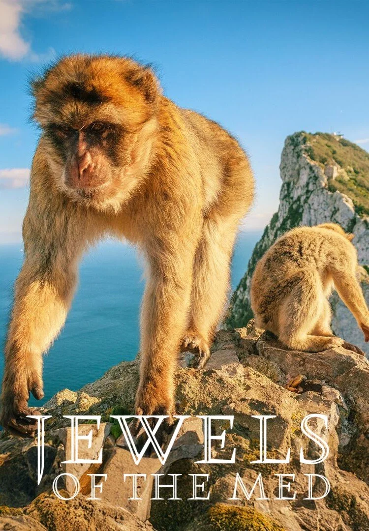 Plakat Jewels of the Mediterranean