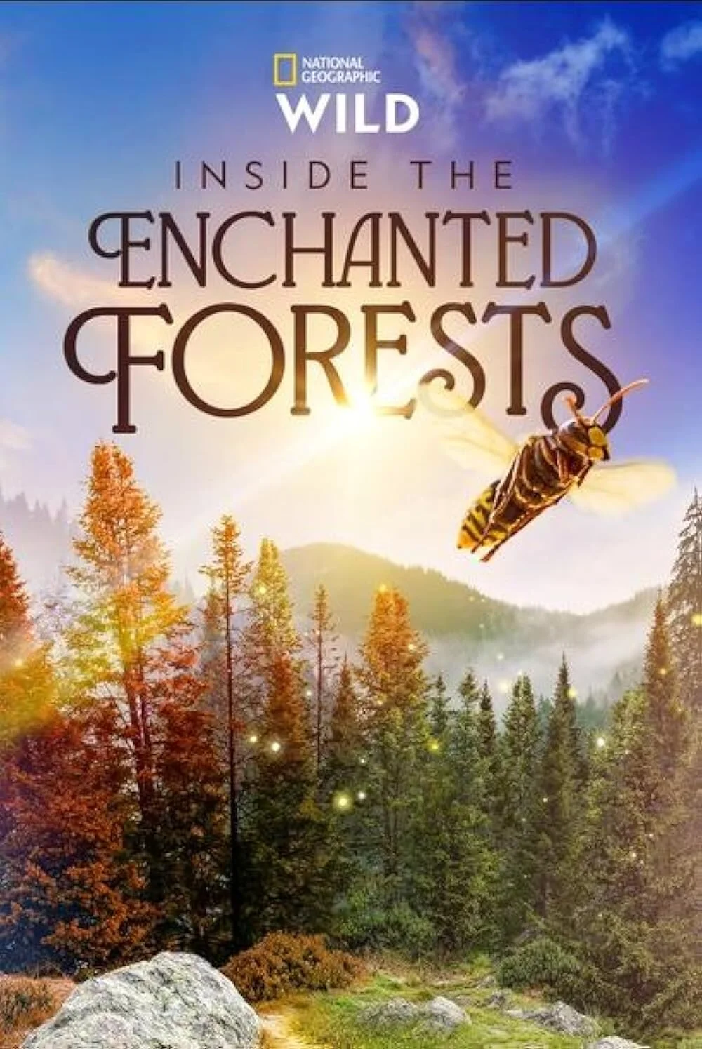 Affiche de Inside the Enchanted Forests