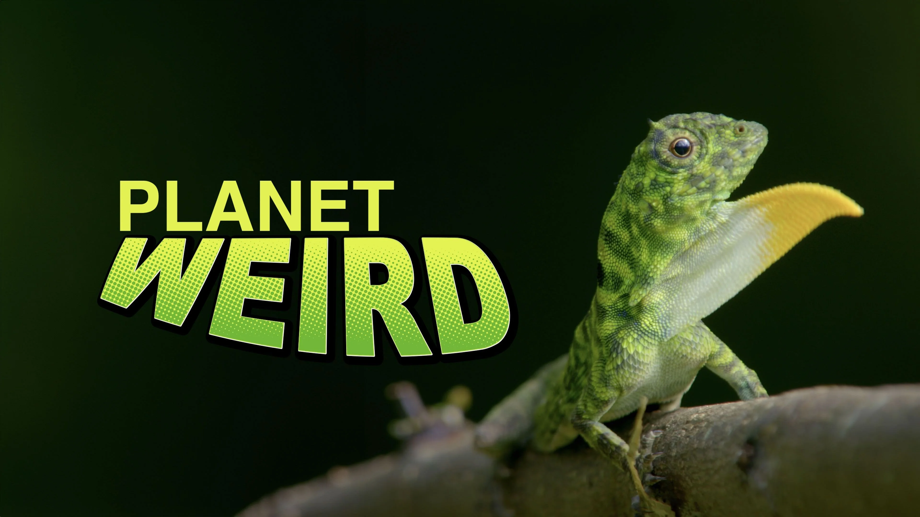 Planet Weird