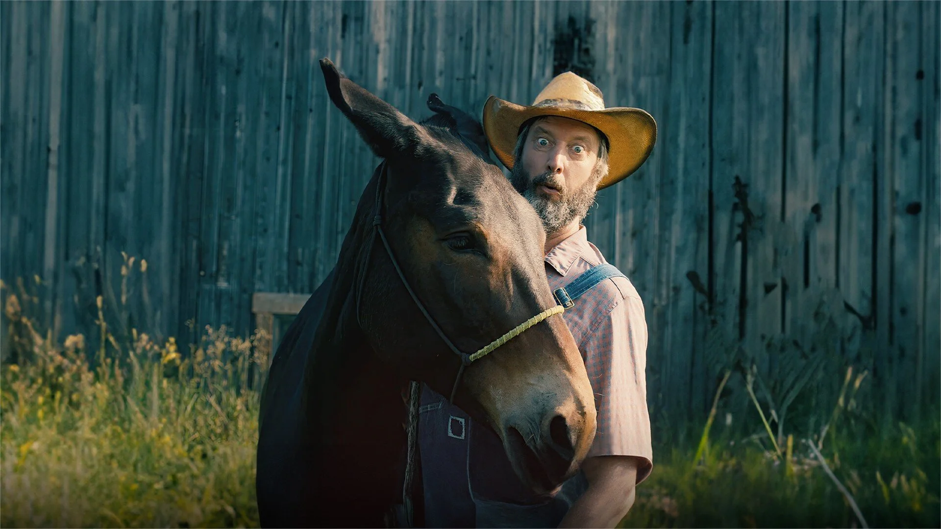 Tom Green Country