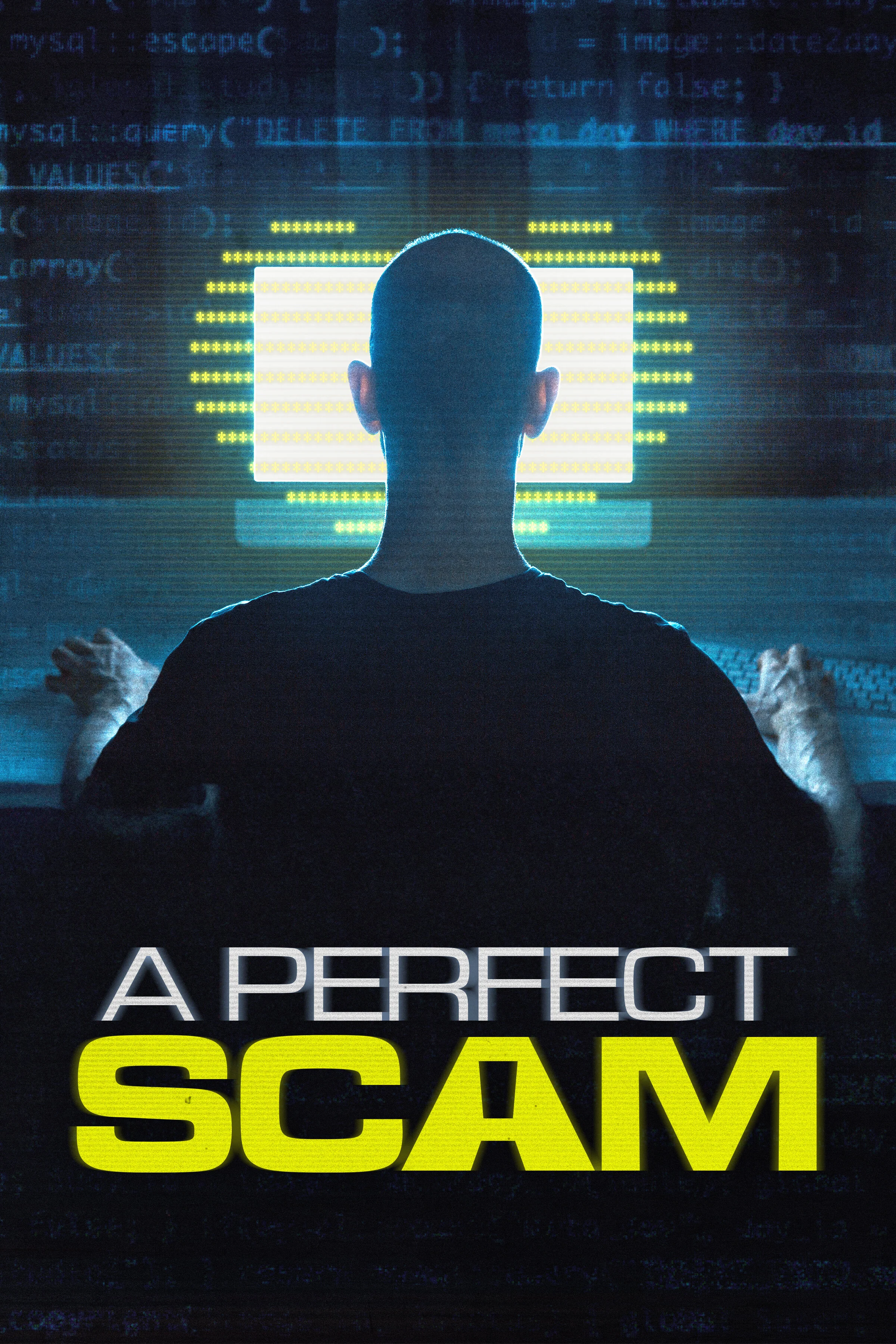 Pôster de A Perfect Scam
