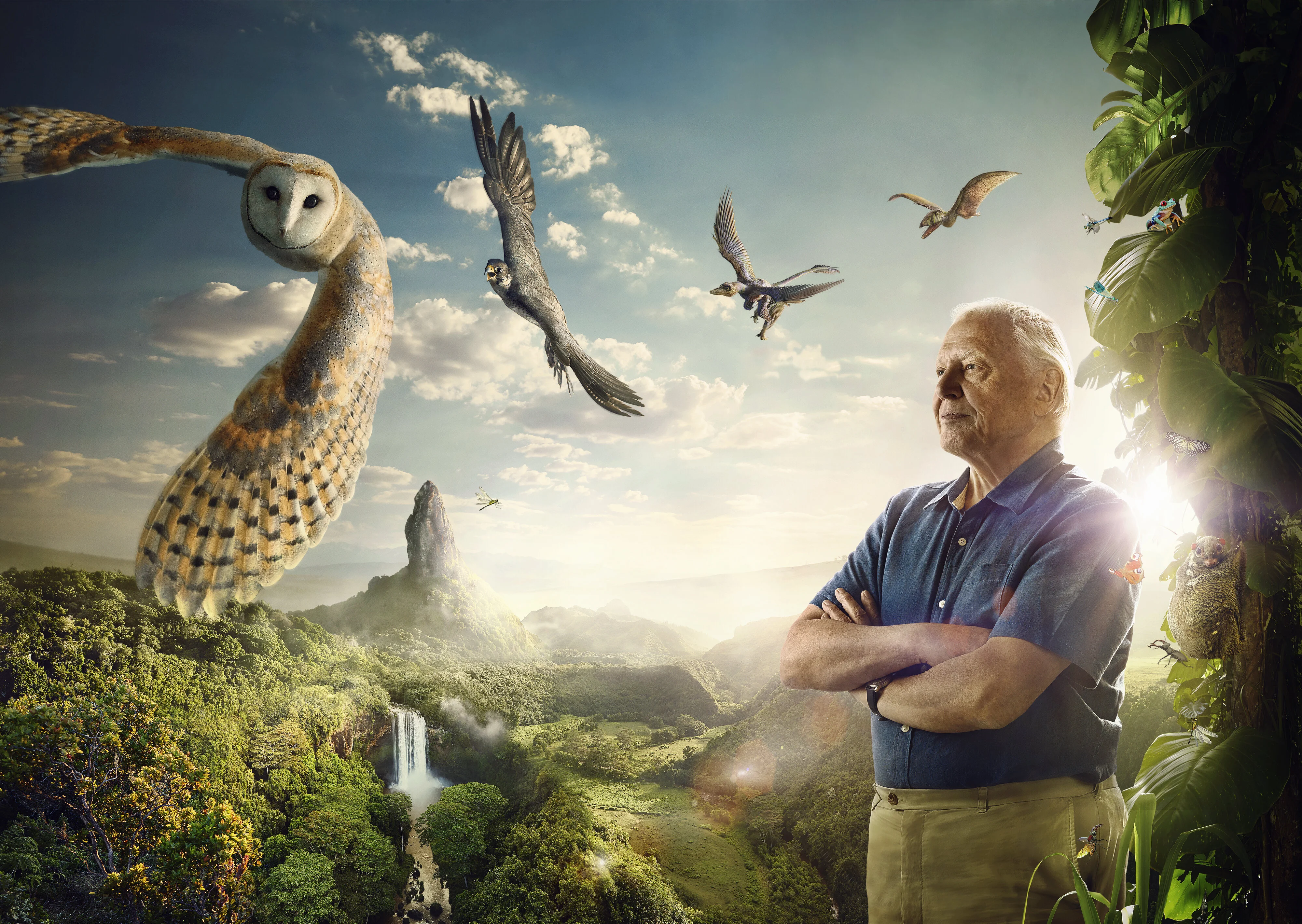 David Attenborough - Alla conquista dei cieli