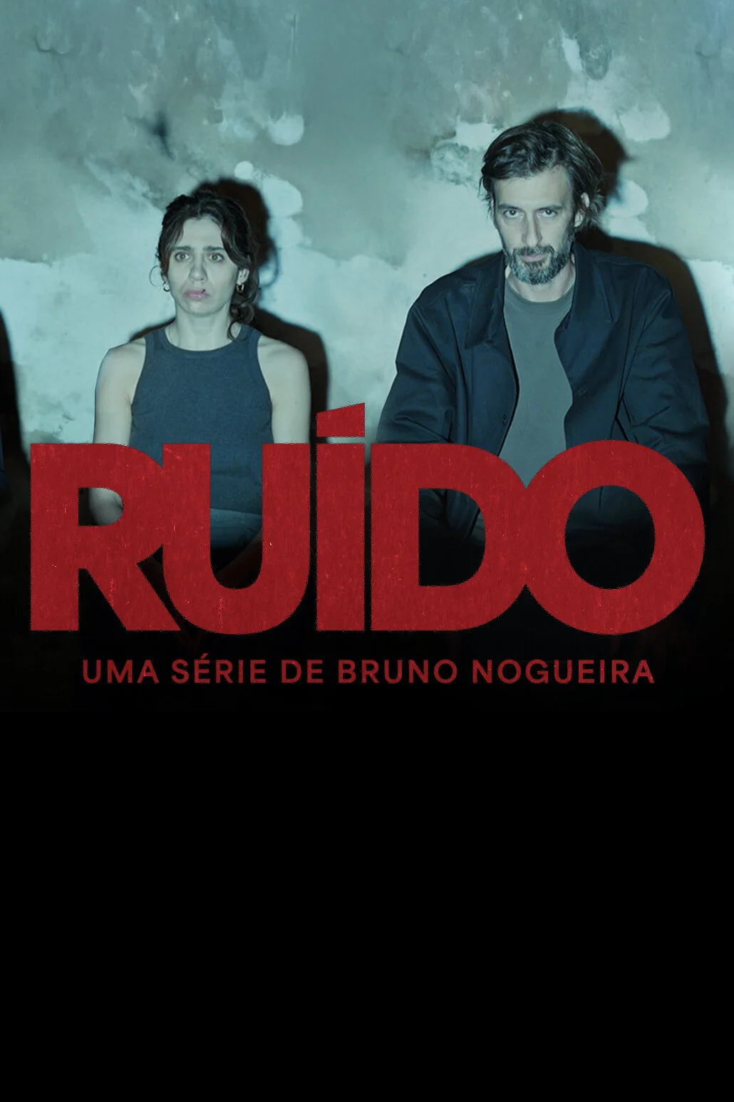 Plakat RuÄ‚Â­do