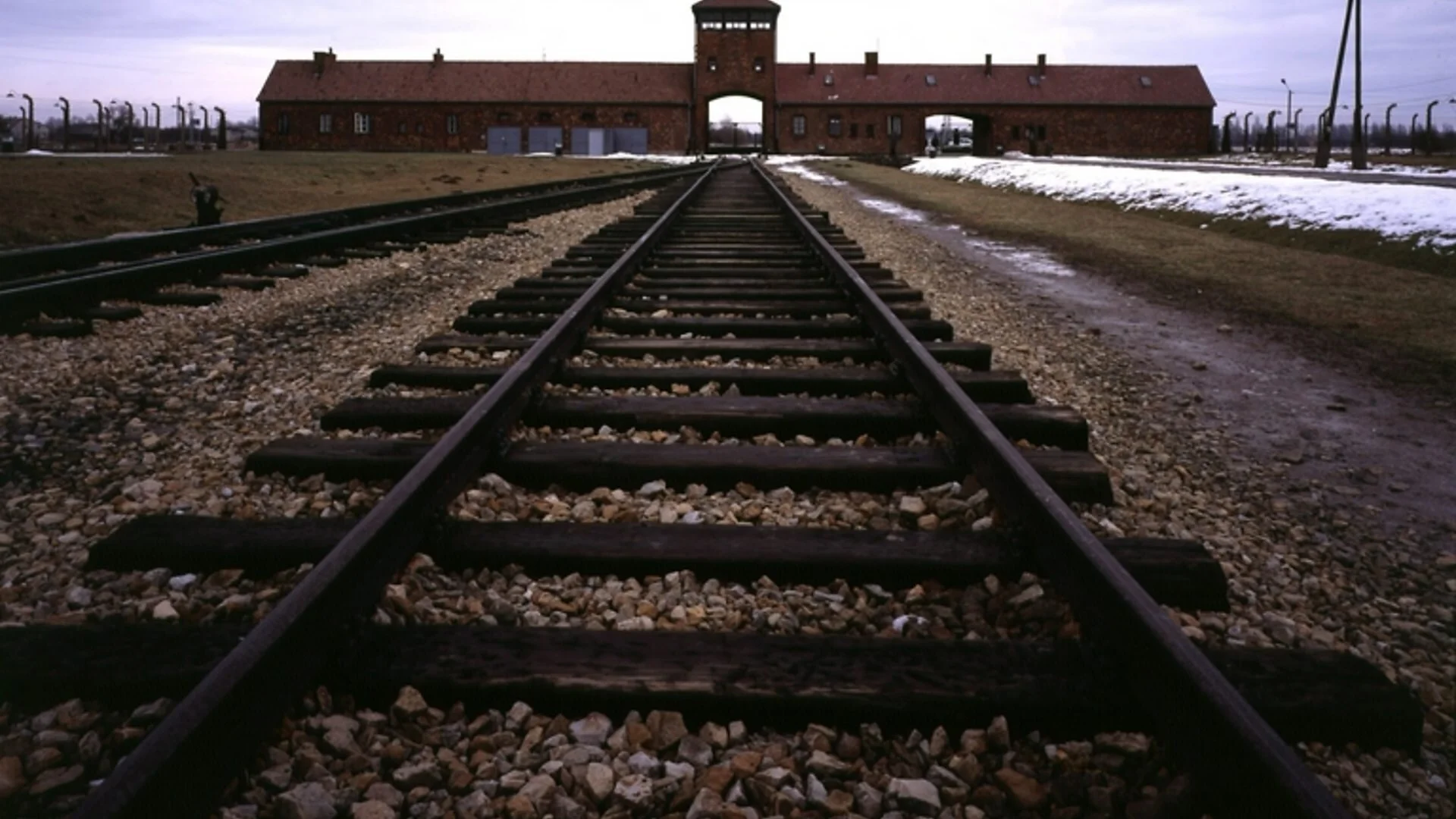 Auschwitz: The Nazis and the Final Solution