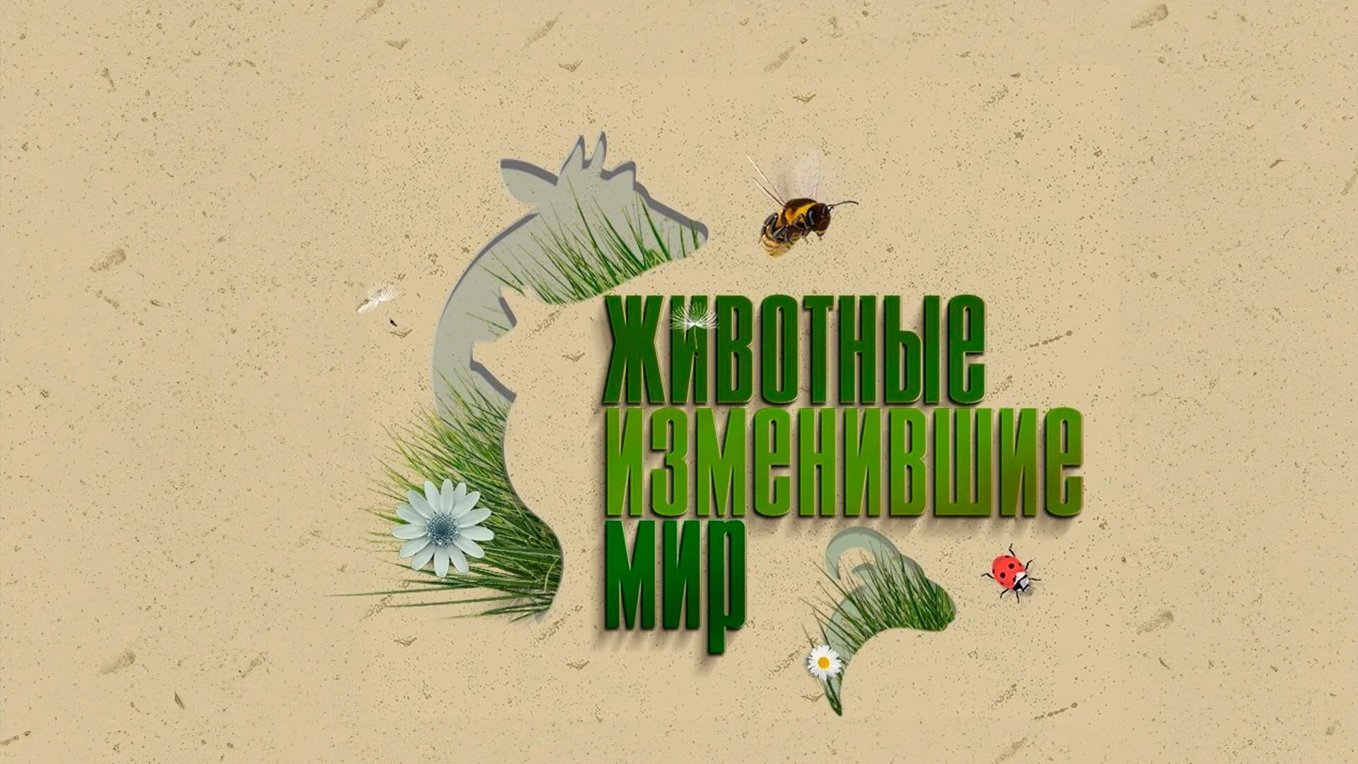 Äâ€“ÄÂ¸ÄË›ÄÄľĹâ€šÄËťĹâ€ąÄÂµ, ÄÂ¸ÄÂ·ÄÄ˝ÄÂµÄËťÄÂ¸ÄË›ĹÂÄÂ¸ÄÂµ ÄÄ˝ÄÂ¸Ĺâ‚¬