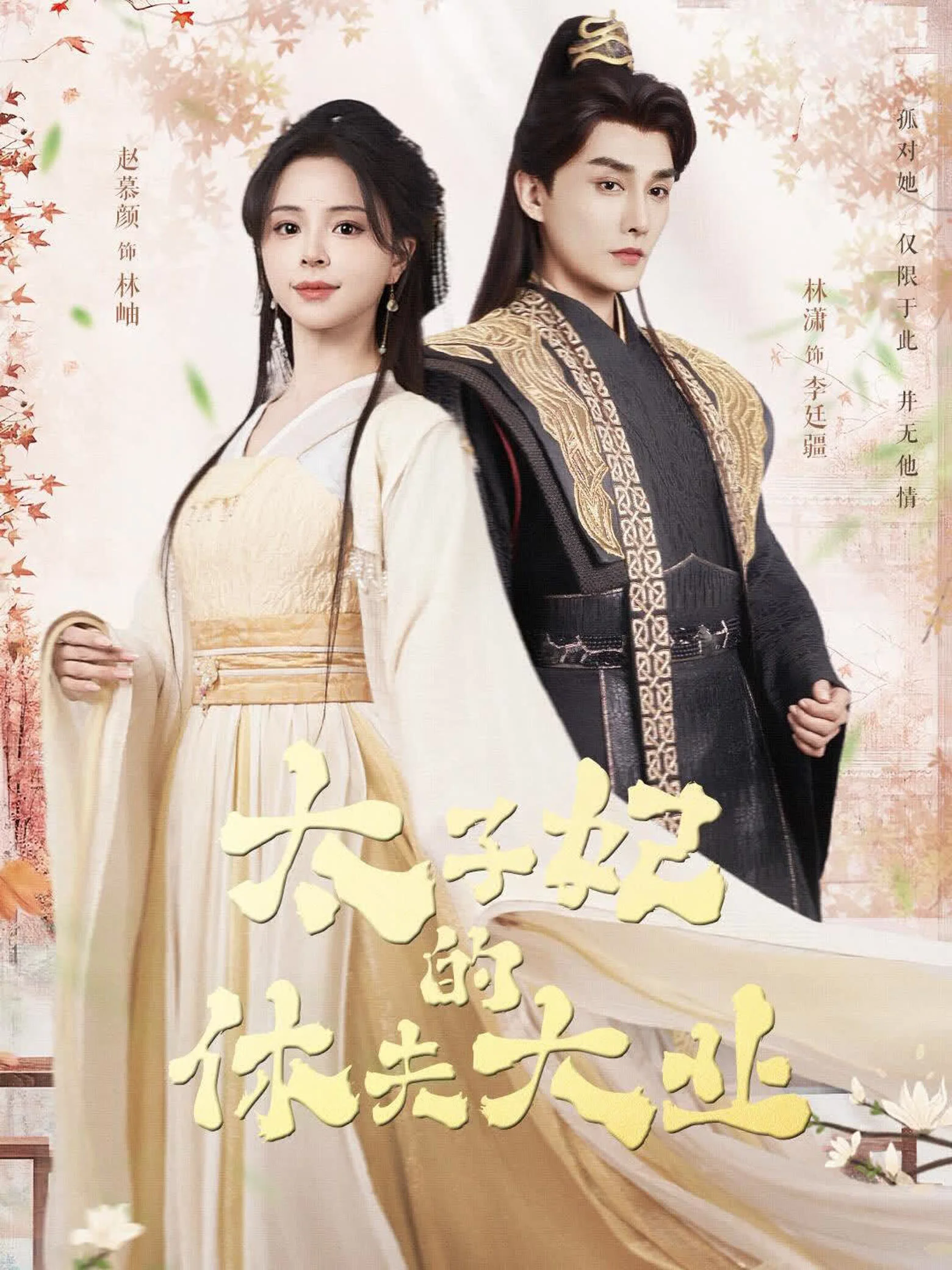 Póster de Tai Zi Fei De Xiu Fu Da Ye