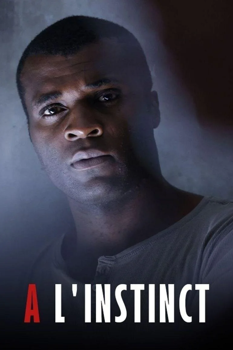 Affiche de A l’instinct