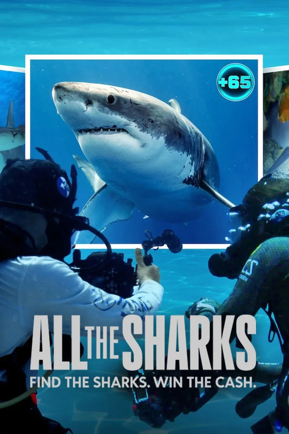 Affiche de All the Sharks : Trouvez-les tous !