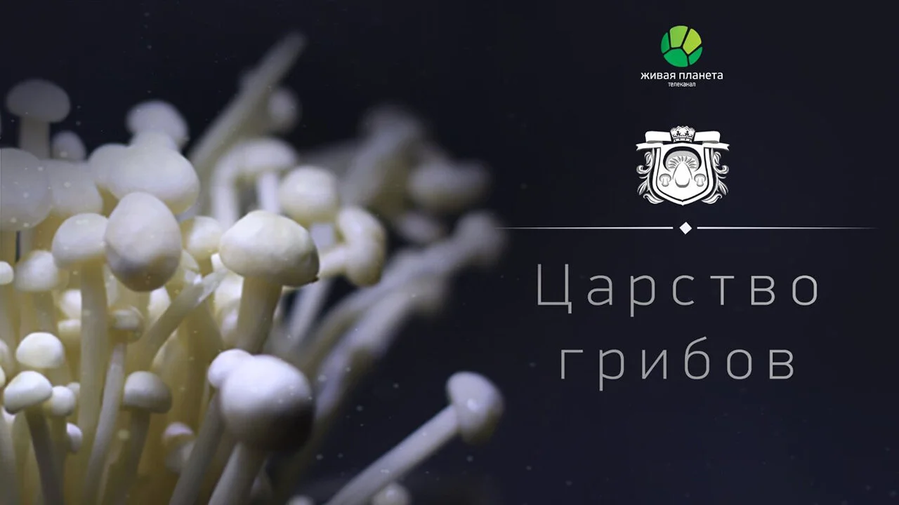 ÄÂ¦ÄÂ°Ĺâ‚¬ĹÂĹâ€šÄË›ÄÄľ ÄĹ‚Ĺâ‚¬ÄÂ¸ÄÂ±ÄÄľÄË›