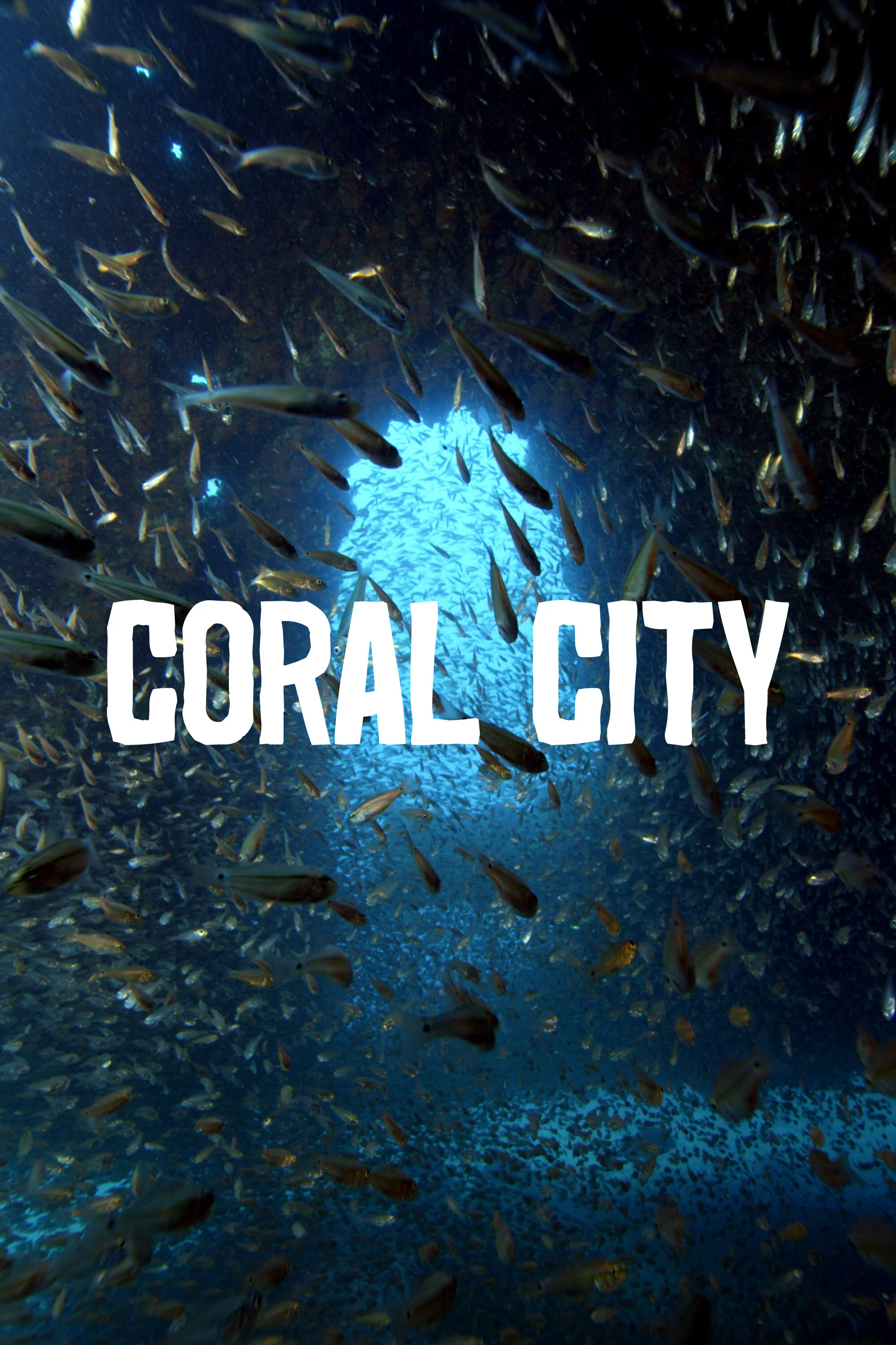 Affiche de Coral City