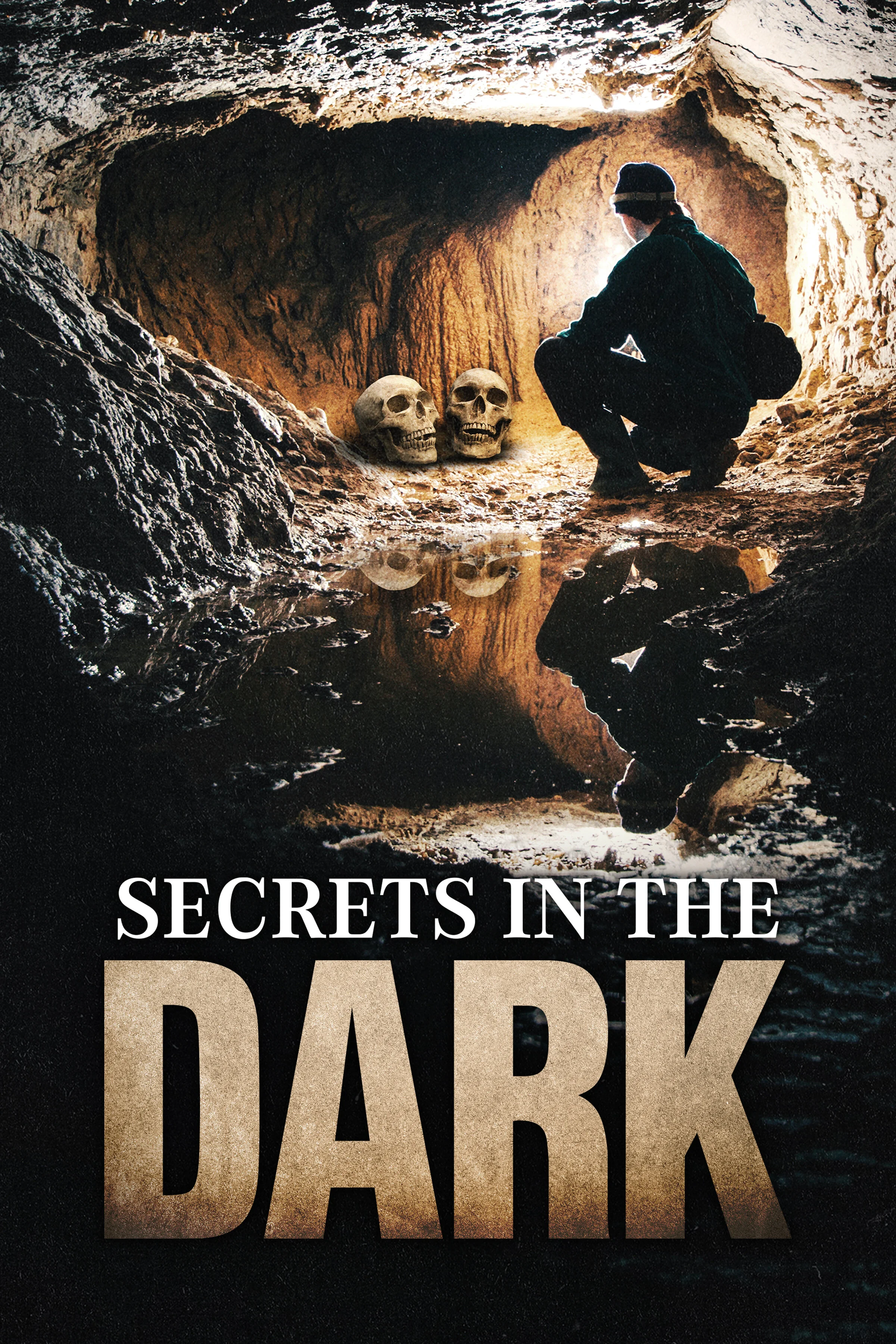 Affiche de Secrets in the Dark