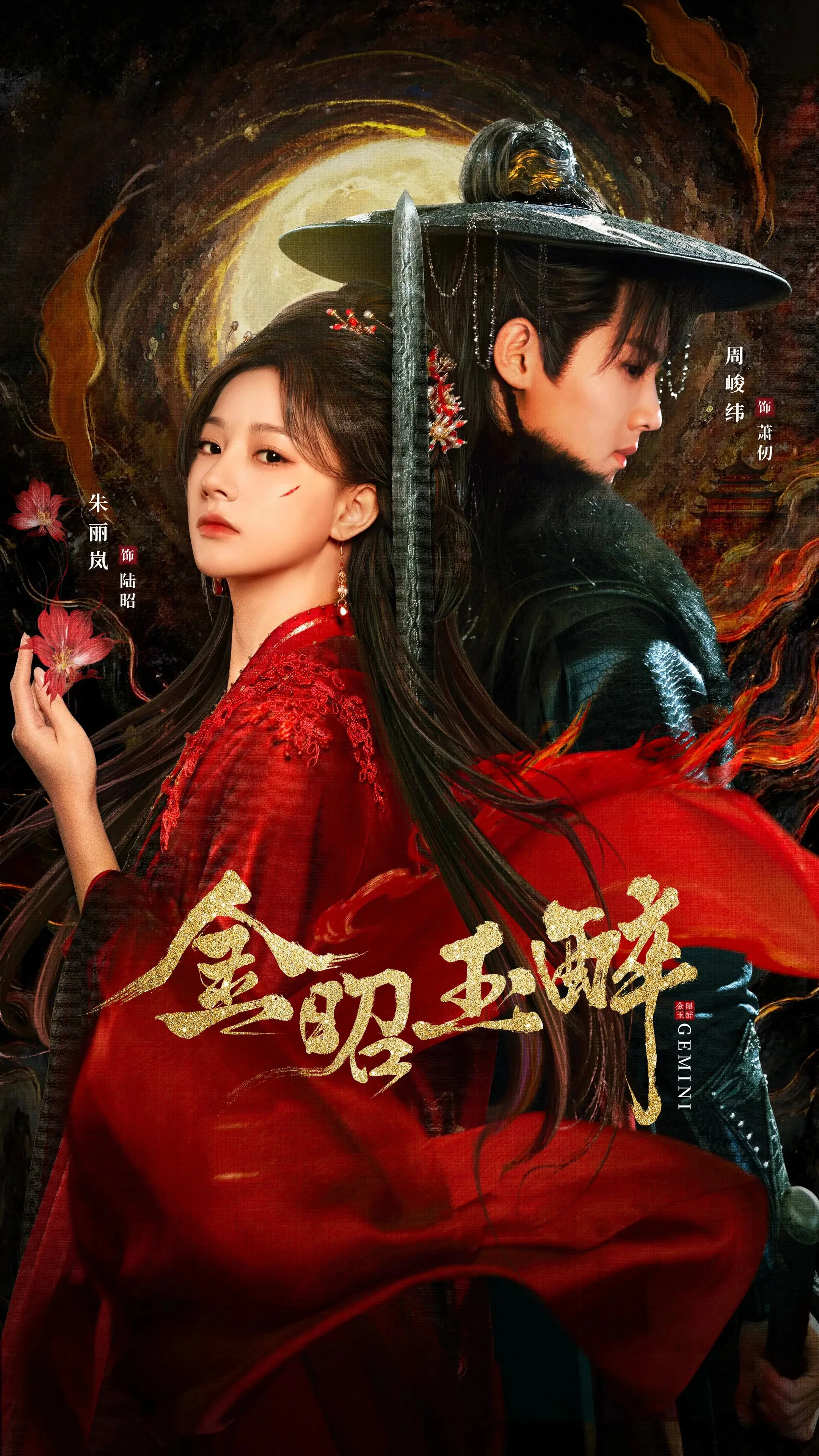 Affiche de Gemini