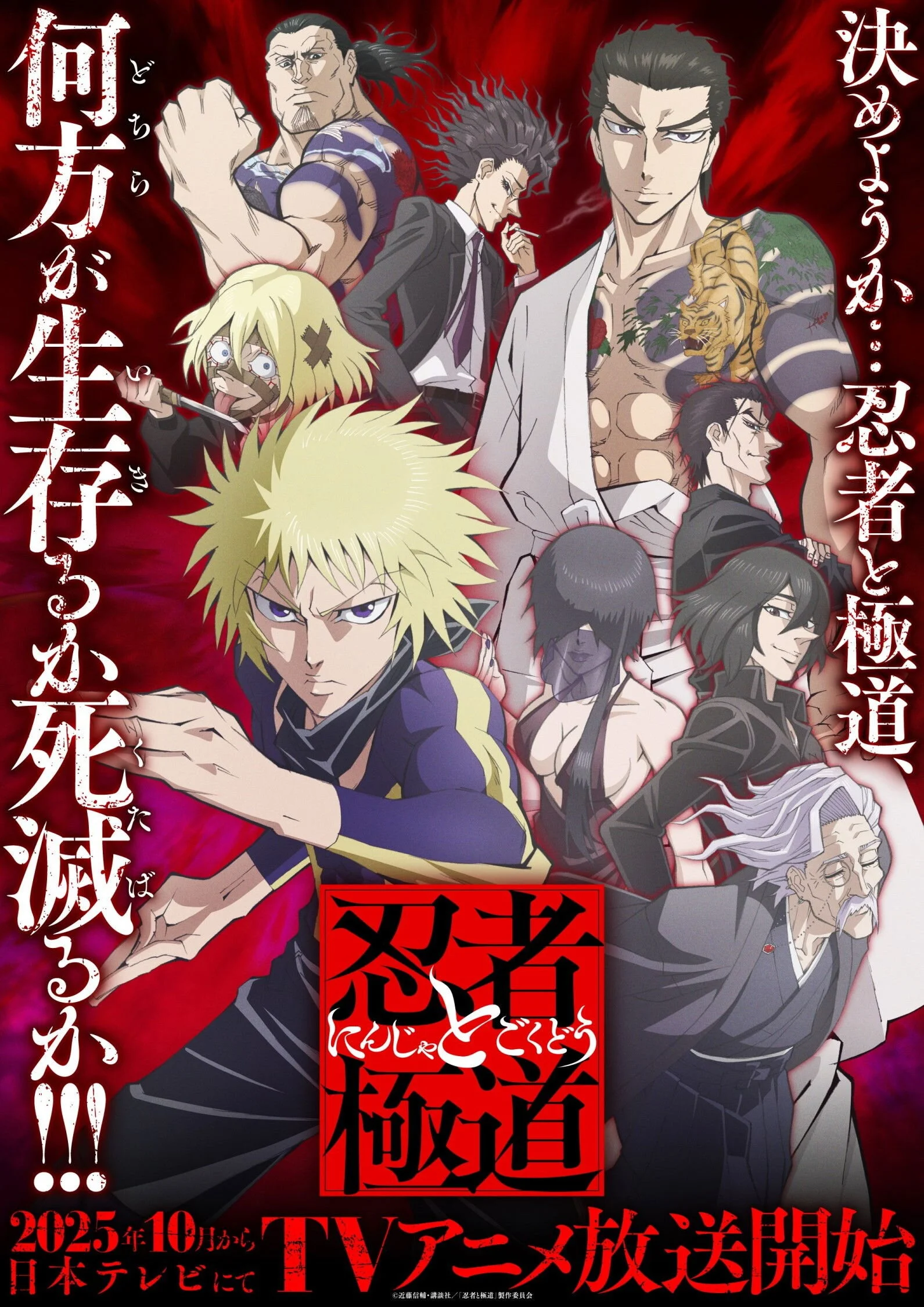 Ninja vs. Gokudo poster