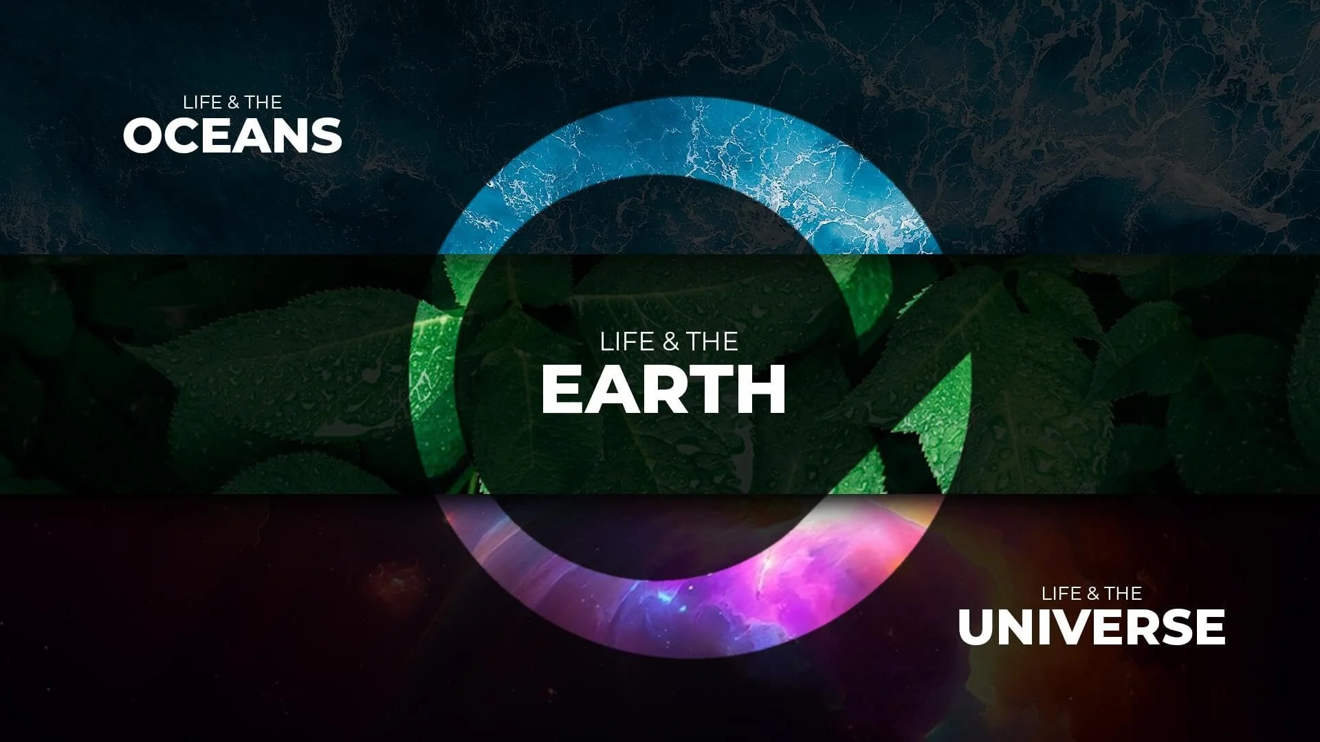Life & The Earth