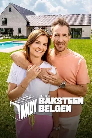 Poster di Andy en de Baksteen Belgen