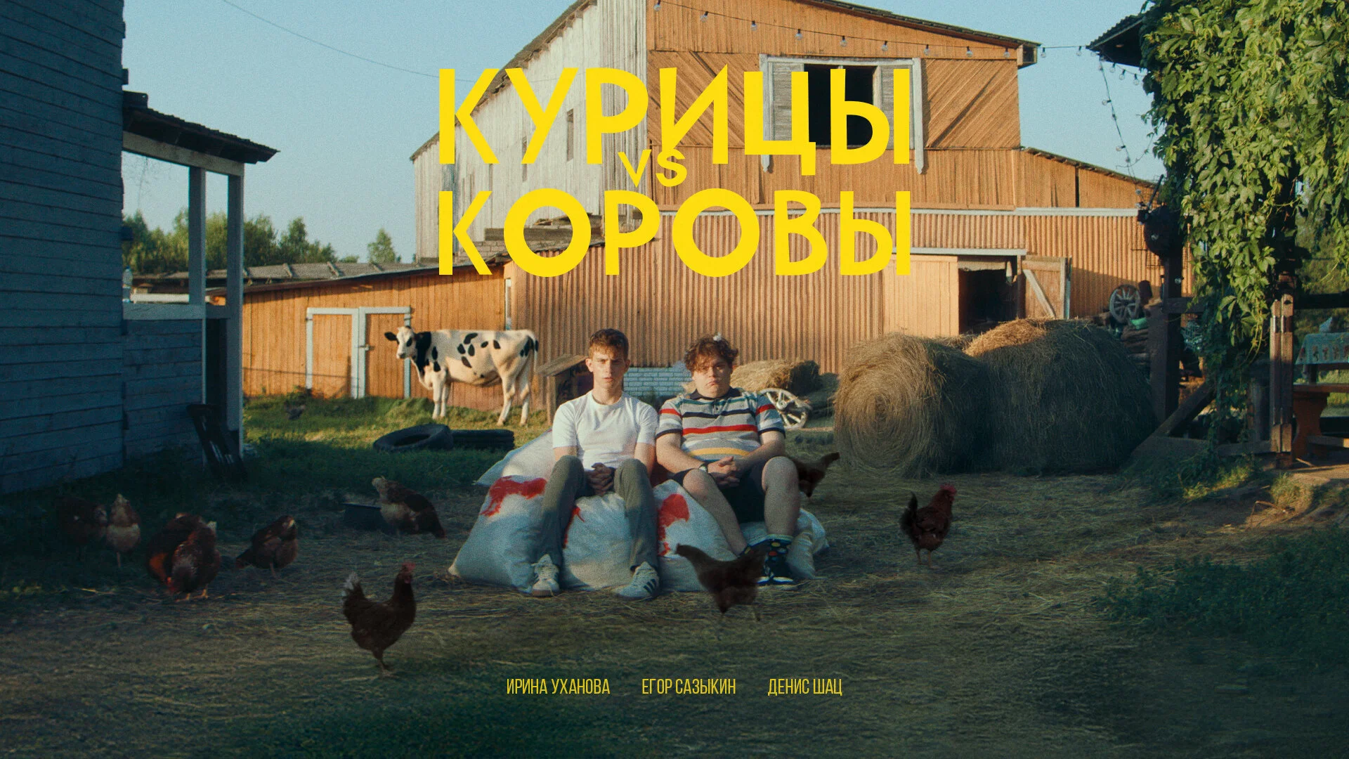 Курицы vs Коровы