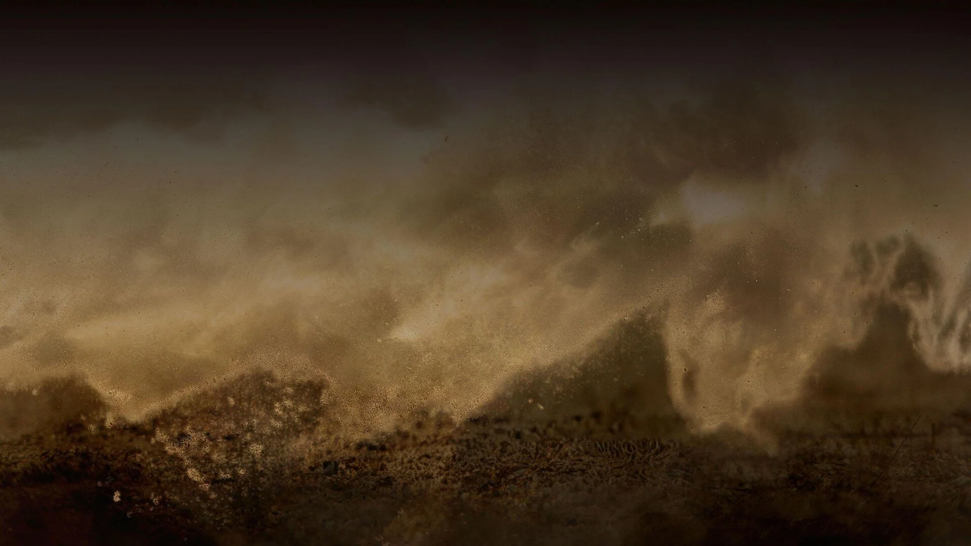 Gladiators: Warriors of the Ancient World