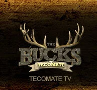 Galería 1