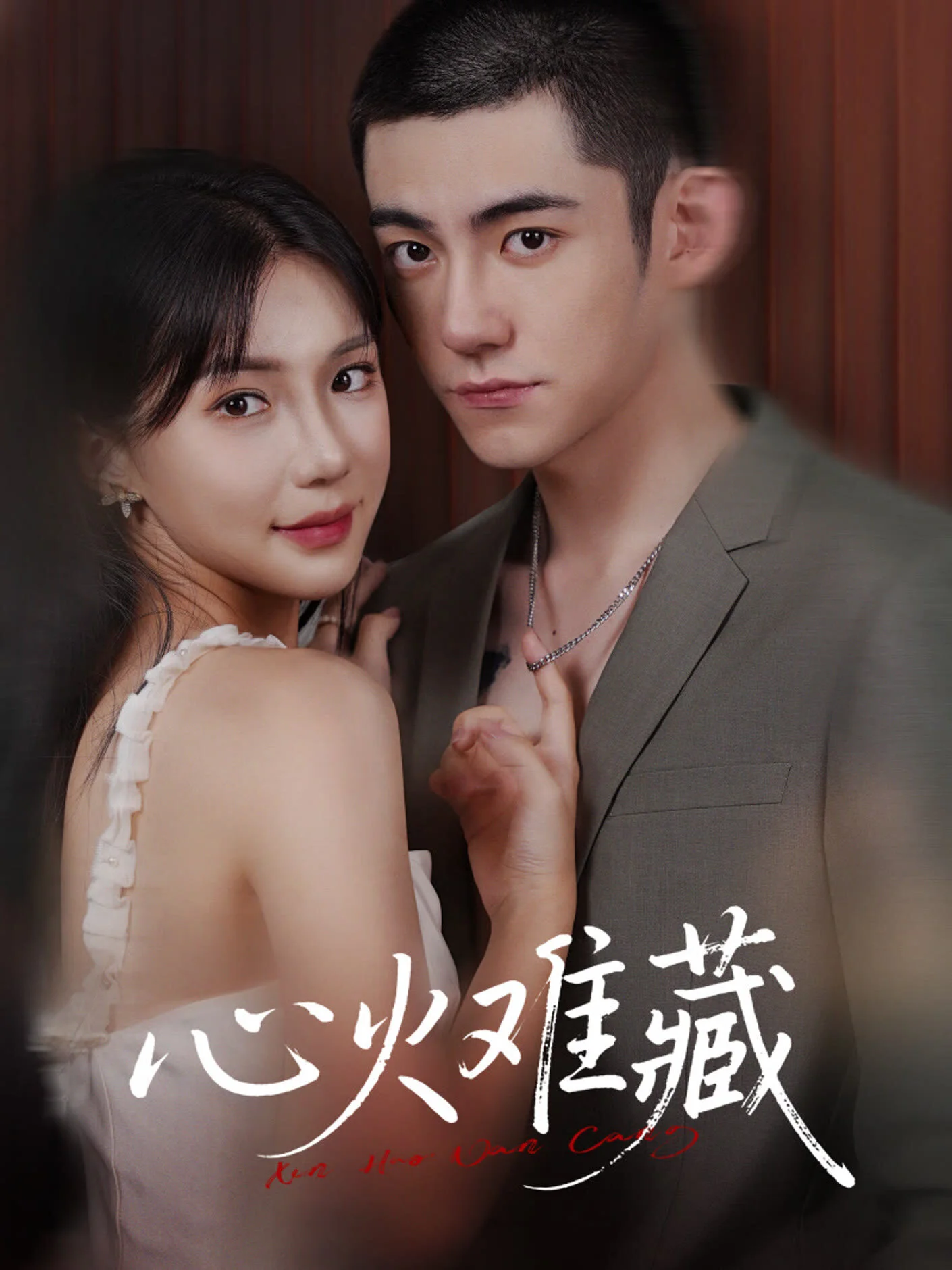 Affiche de The Hidden Flame