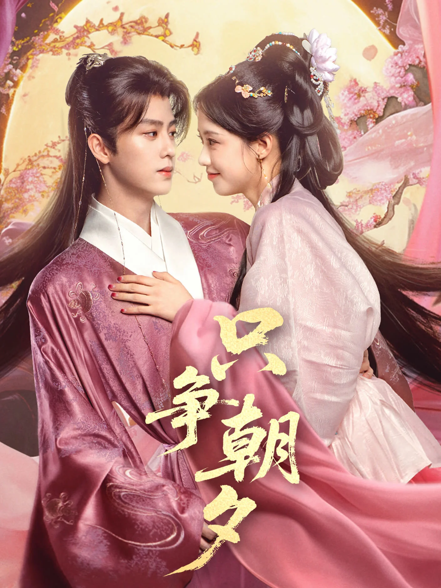 Zhi Zheng Zhao Xi afişi