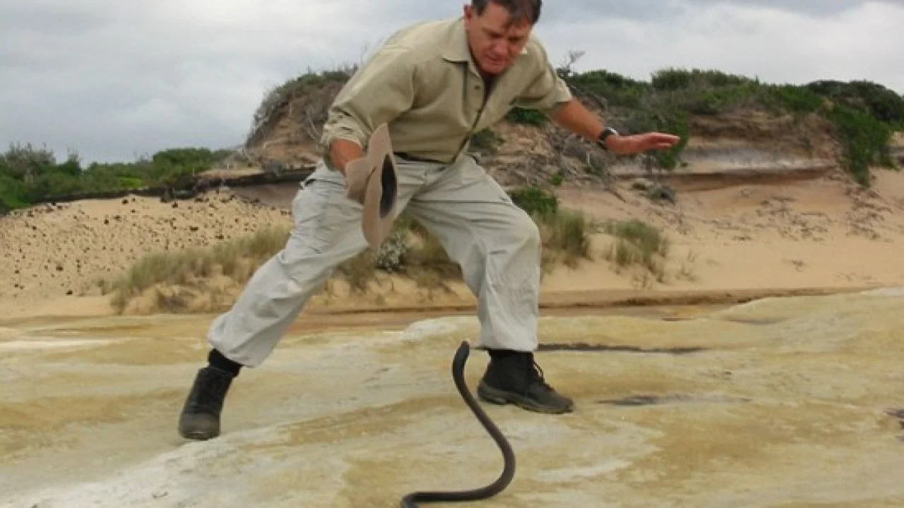 The Wildlife Man featuring David Ireland