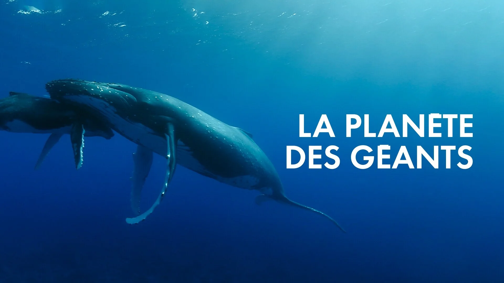 La planète des géants