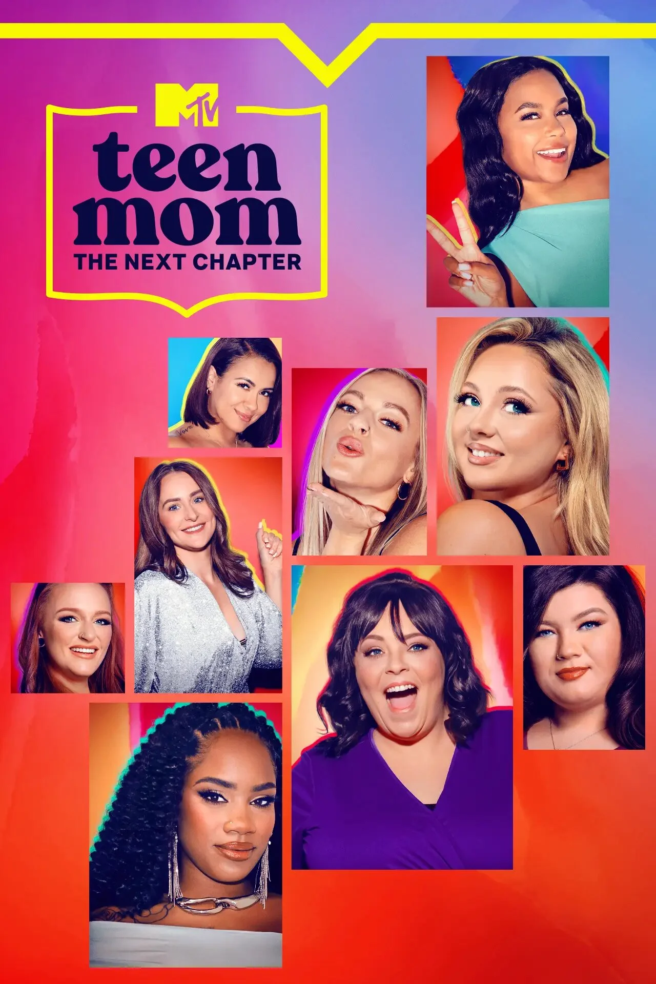 Poster di Teen Mom: The Next Chapter