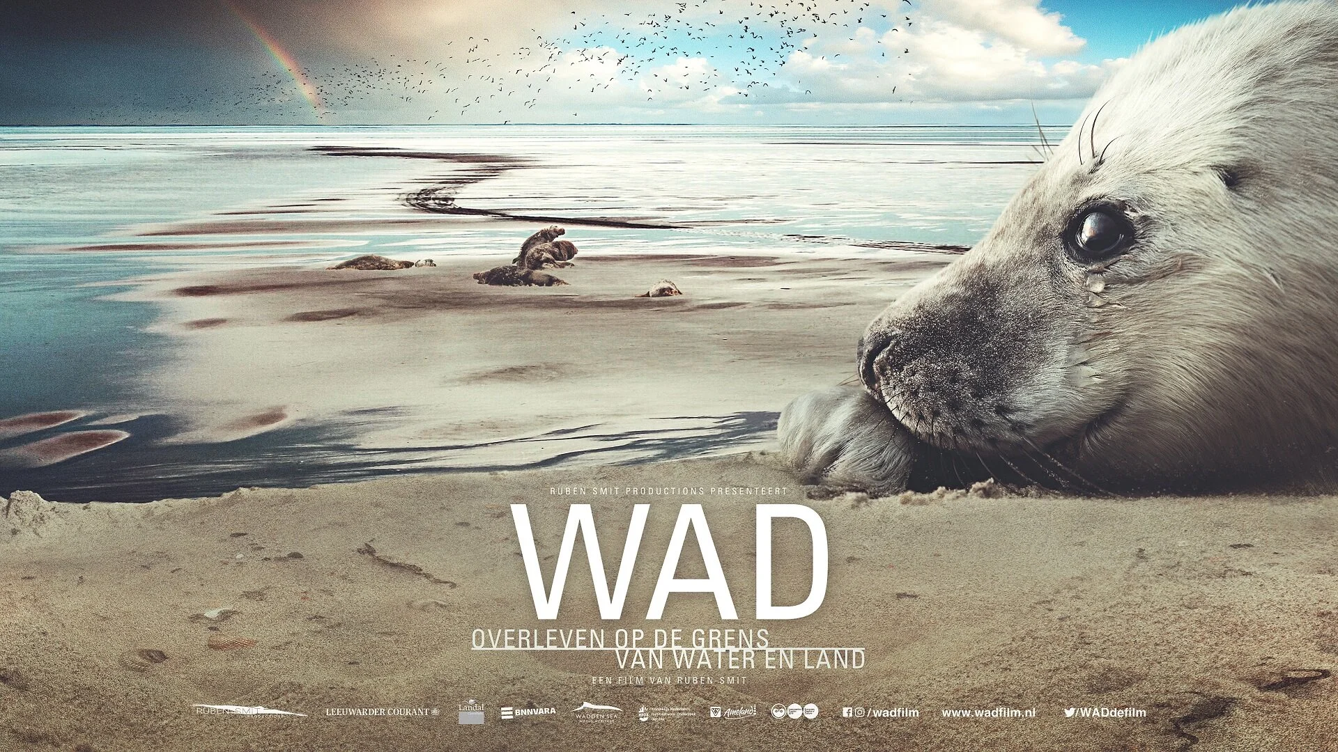 Living on the Edge: The Wadden Sea