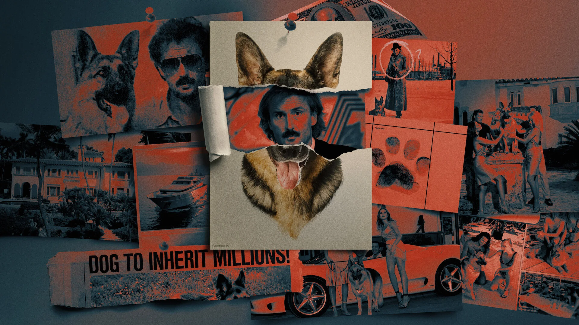 I milioni di Gunther