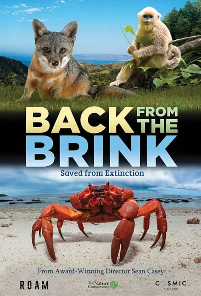 Affiche de Back from the Brink