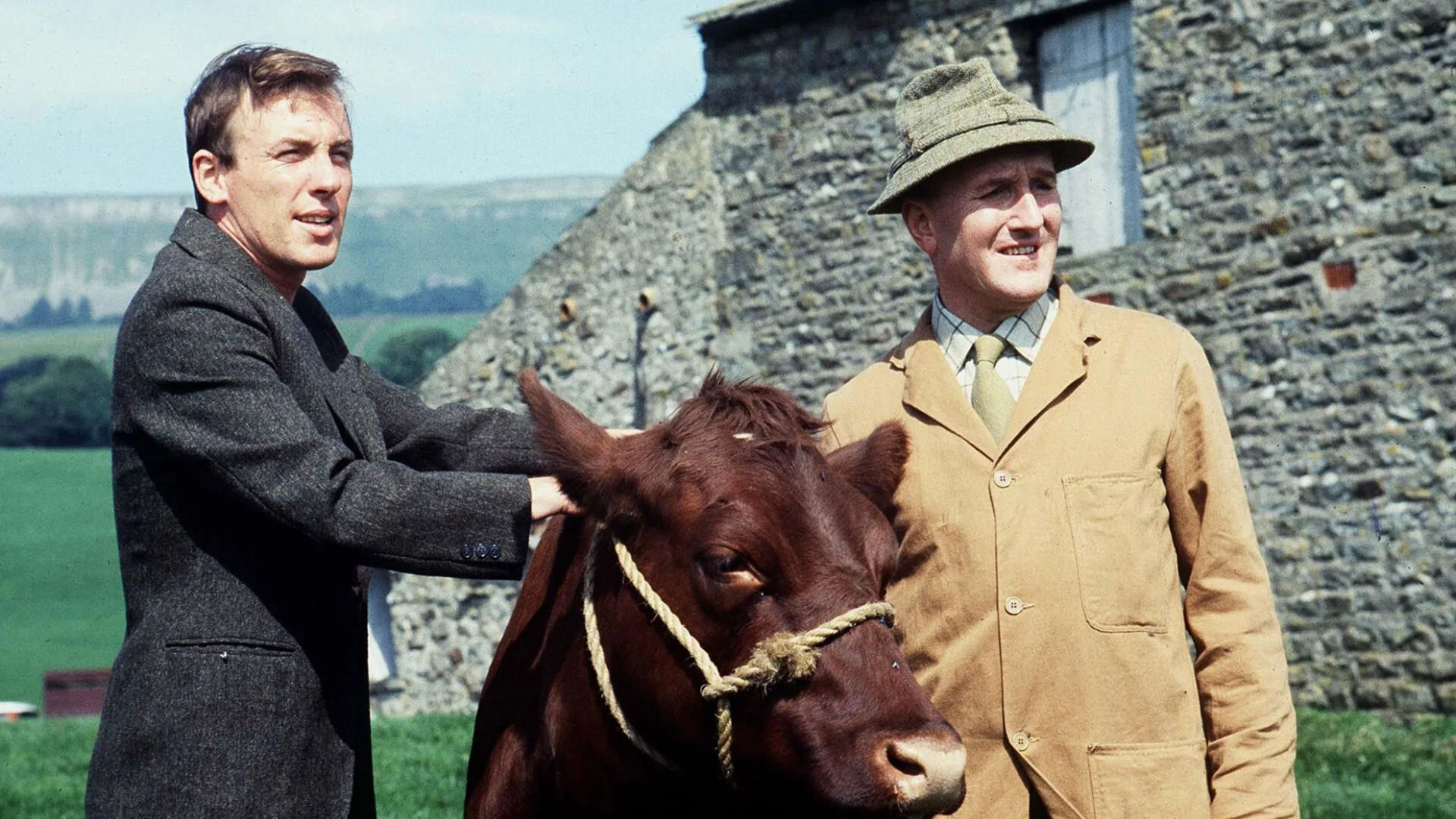 All Creatures Great and Small