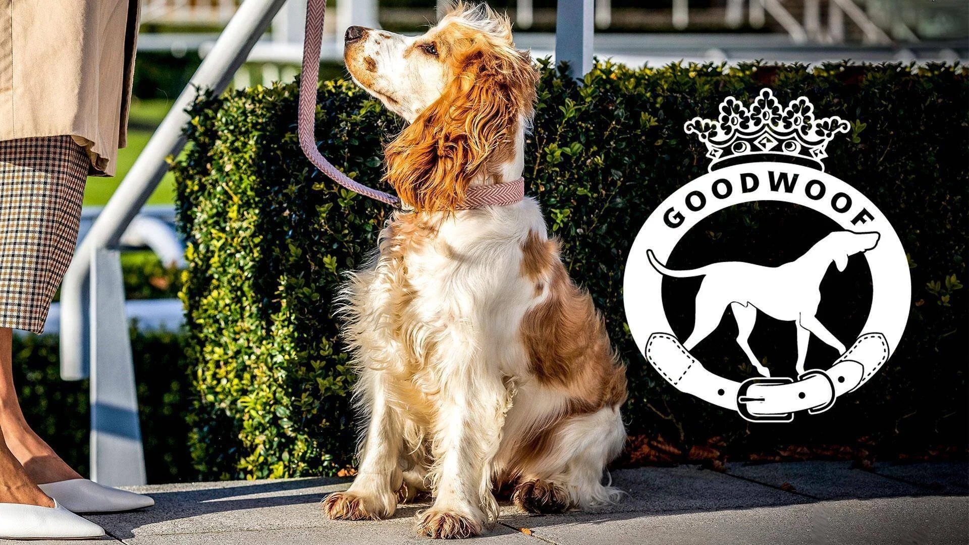 Goodwoof