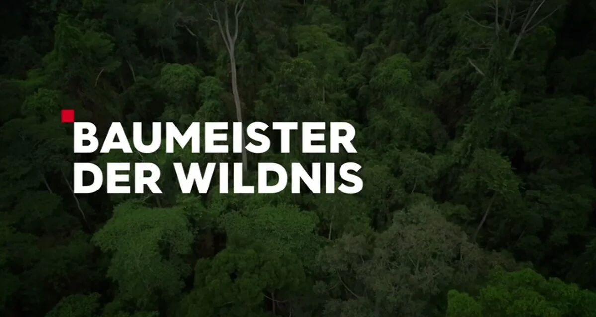 Baumeister der Wildnis