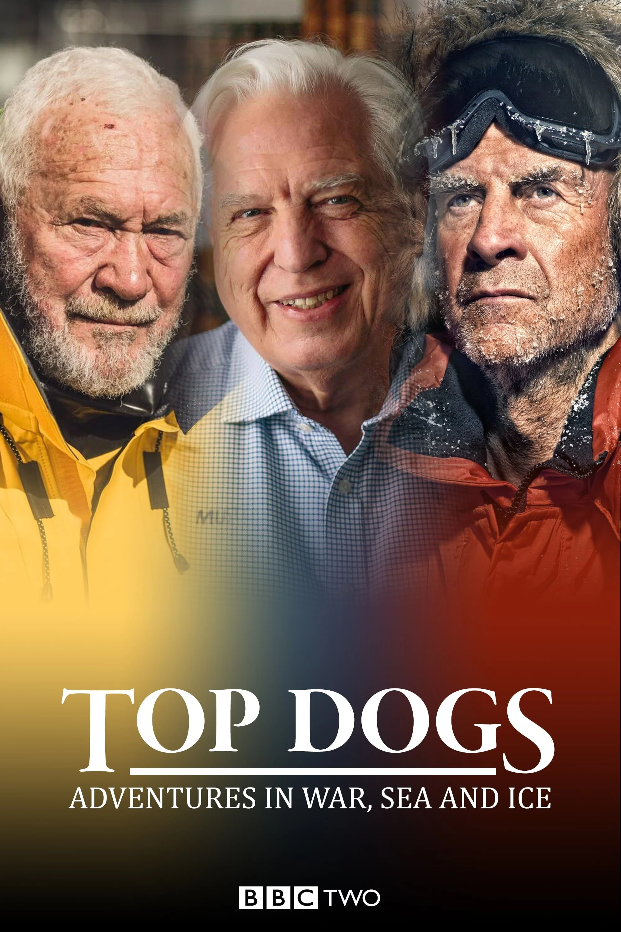 Plakat Top Dogs: Adventures in War, Sea and Ice