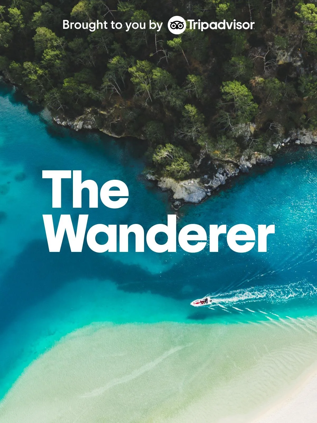 Poster di The Wanderer