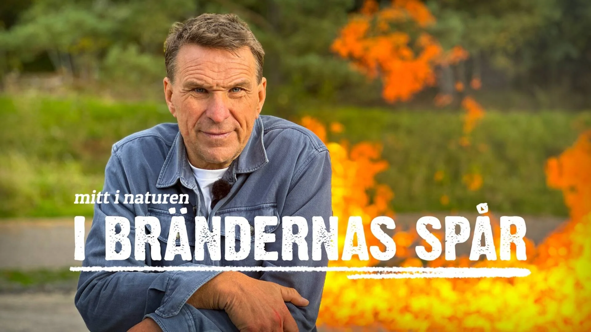 I brändernas spår
