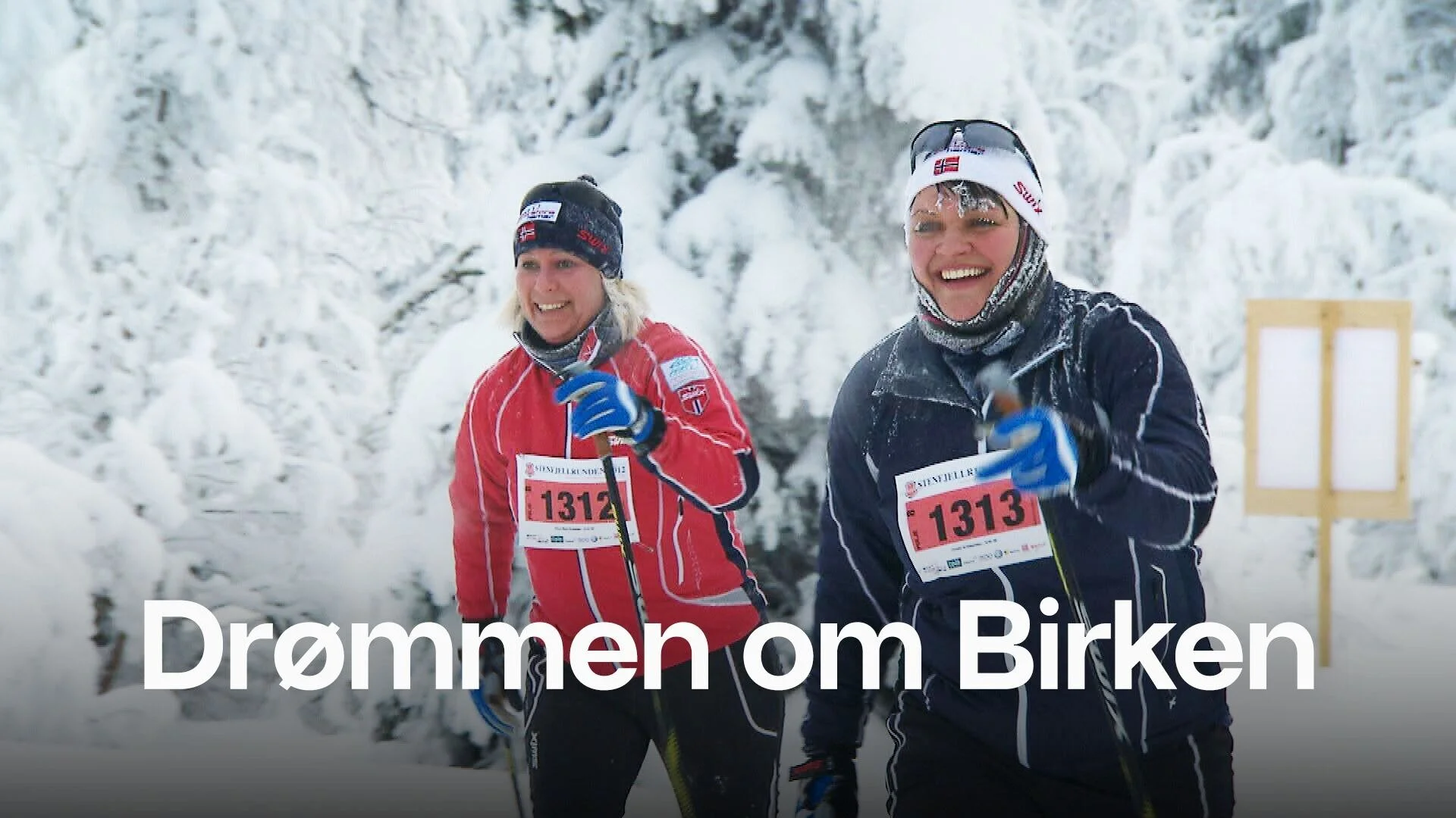 Drømmen om Birken
