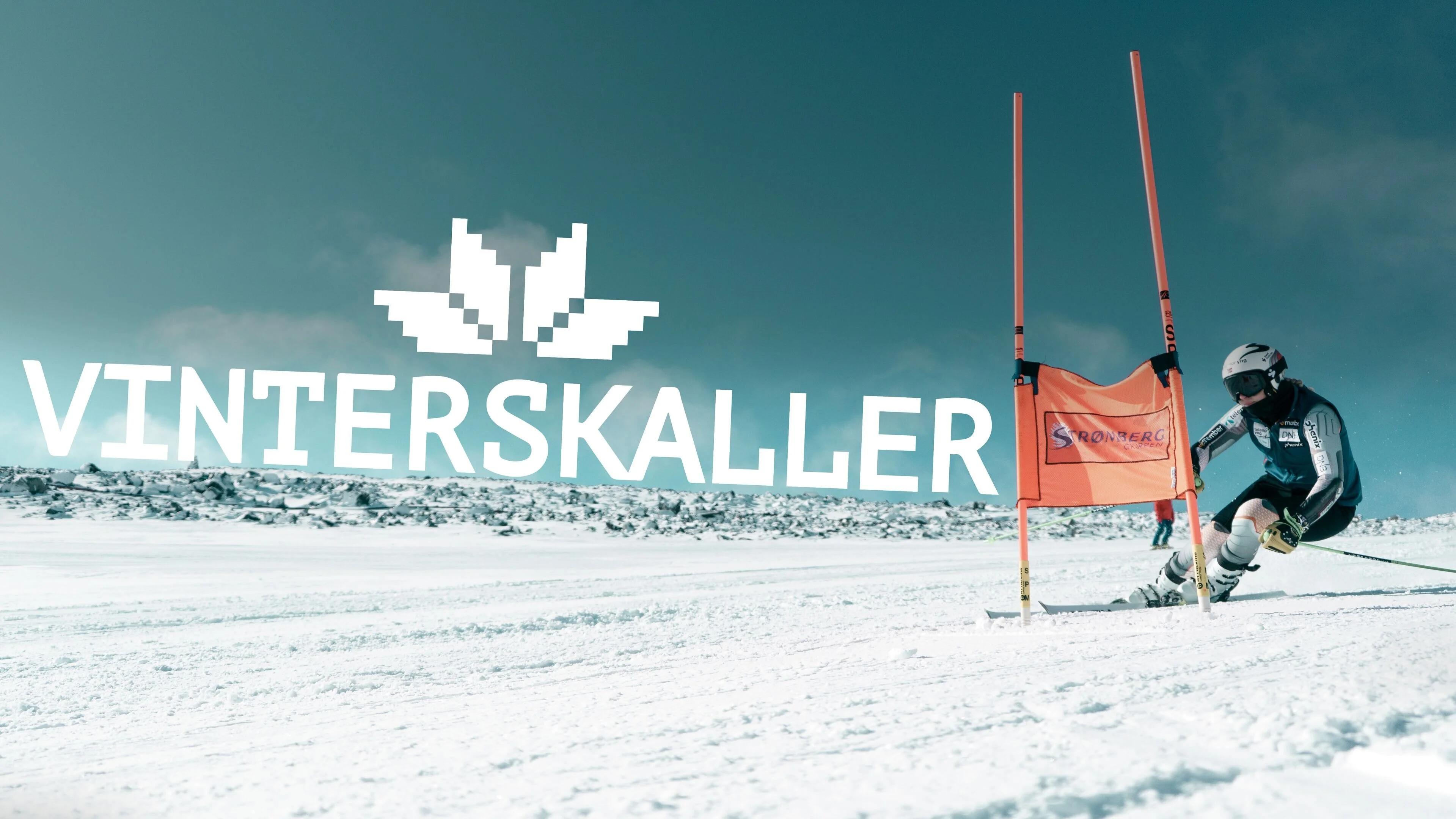Vinterskaller
