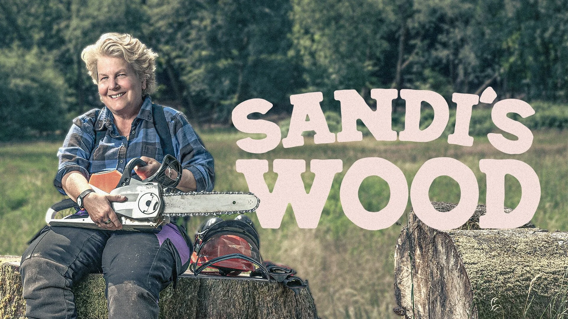 Sandi's Great British Woodland Restoration