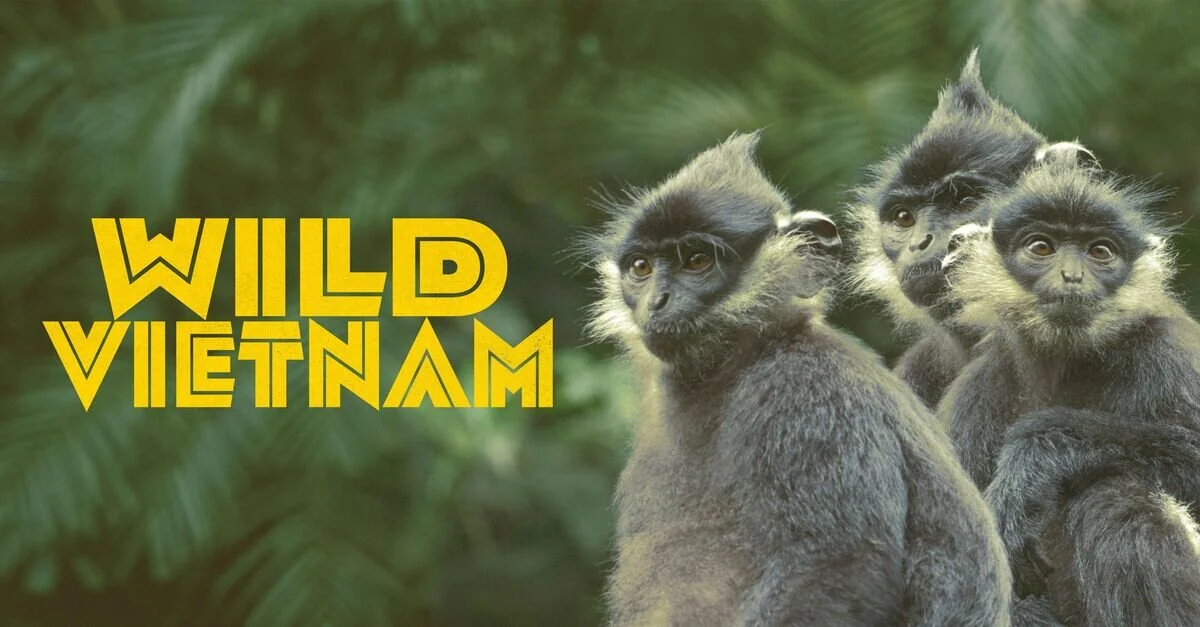 Wild Vietnam