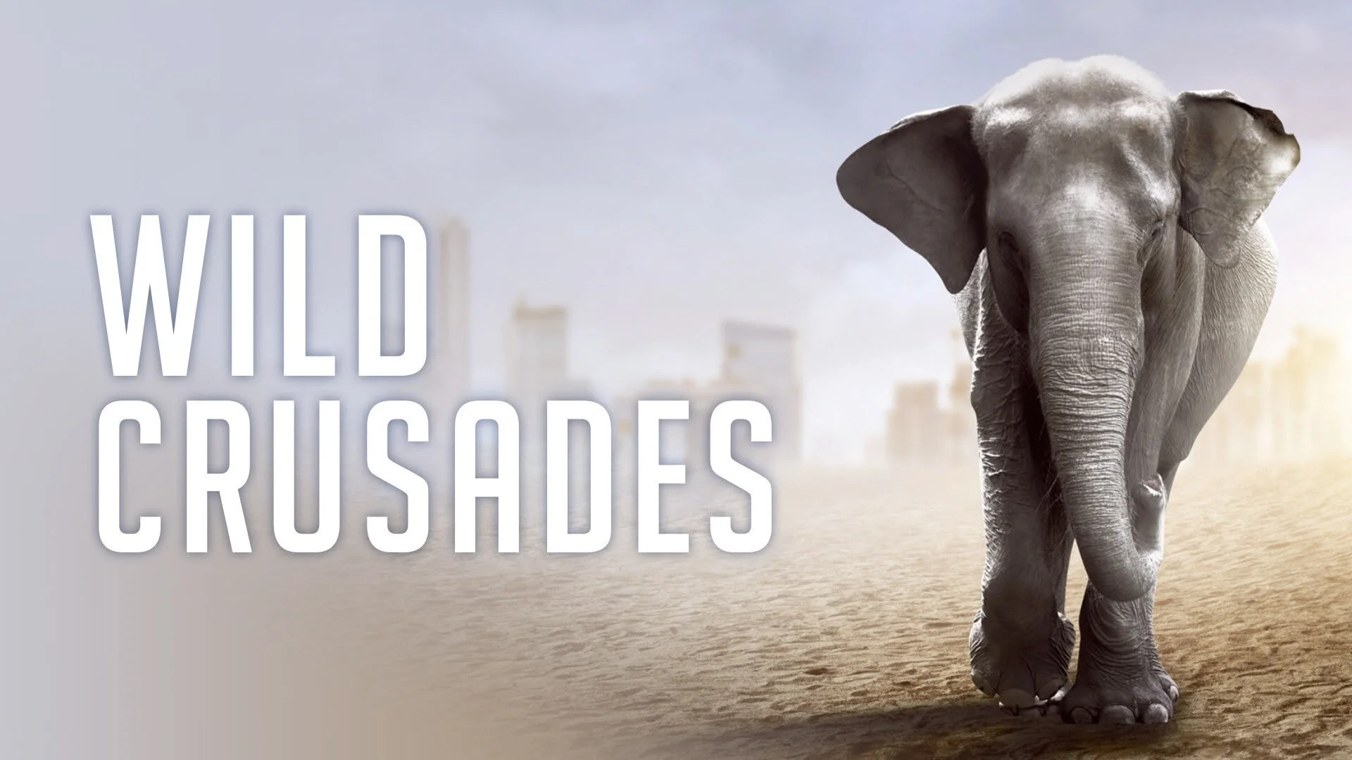 Wild Crusades
